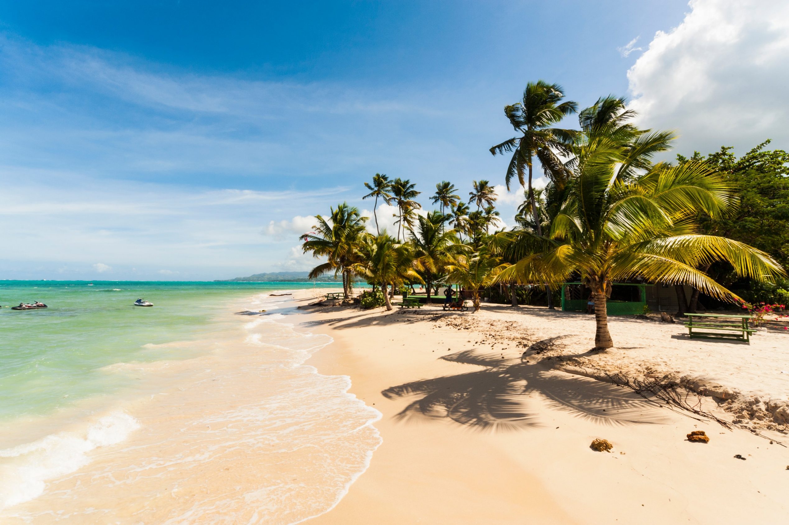 A Celebration Journey of Caribbean Christmas Cheer