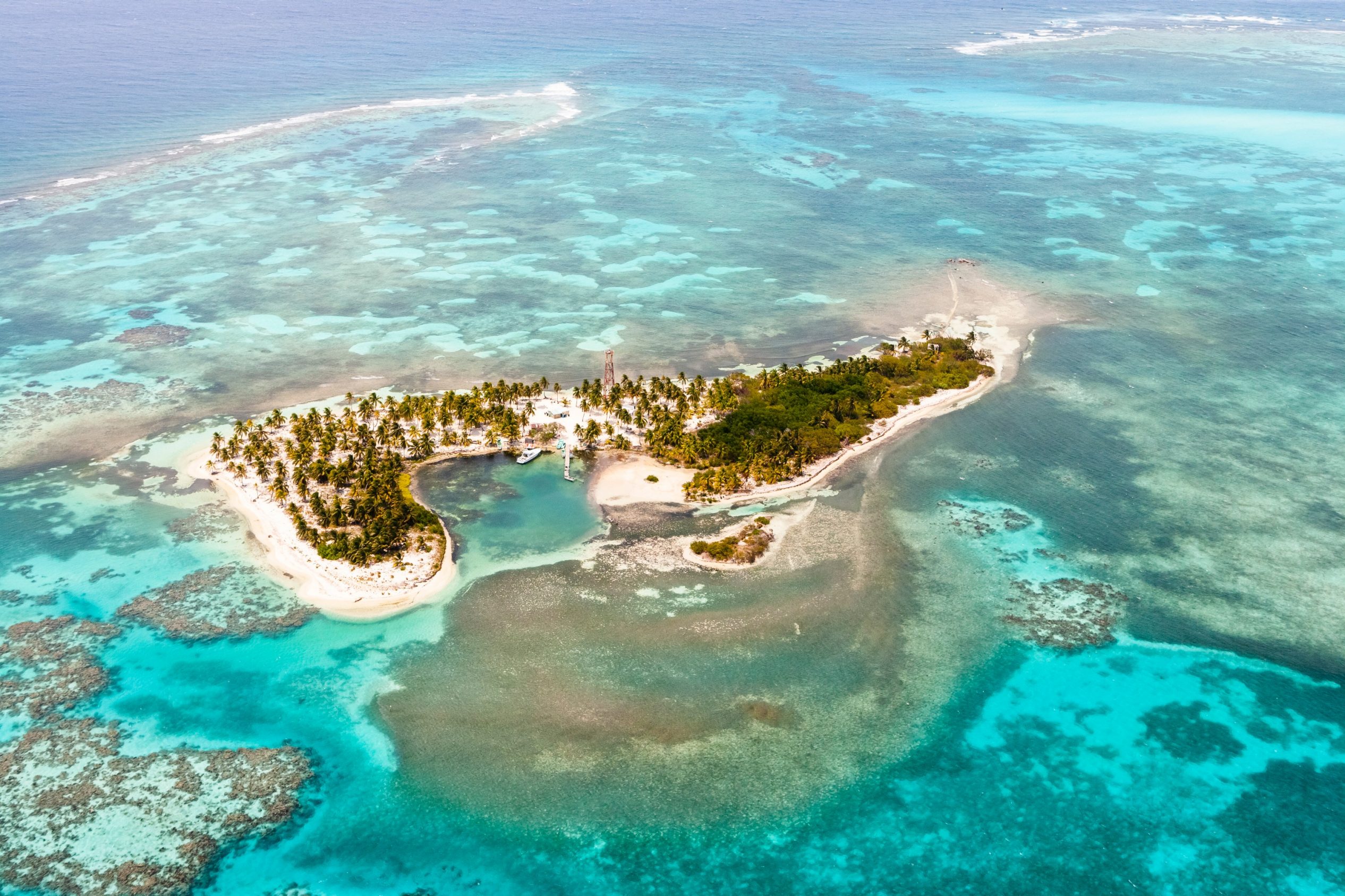 An Extended Journey Of Underwater Gardens & Floral Islands