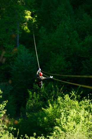 Ziplines and Walkways through the Rainforest Canopy