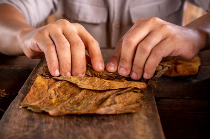 Chocolate Indulgence and Tobacco Heritage in Caguas