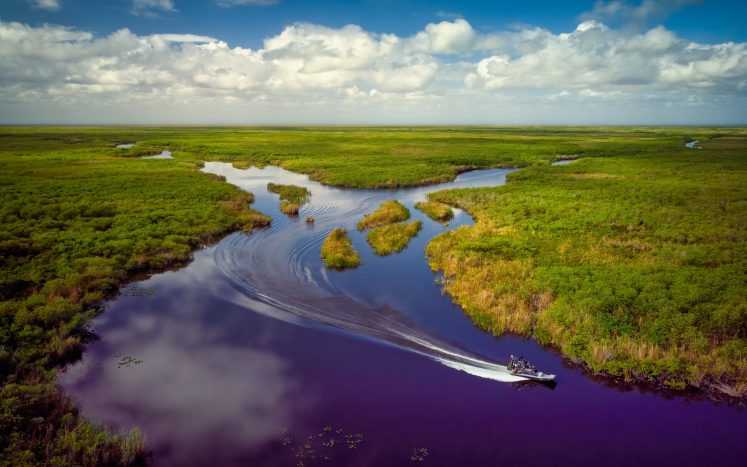 Everglades Airboat Adventure