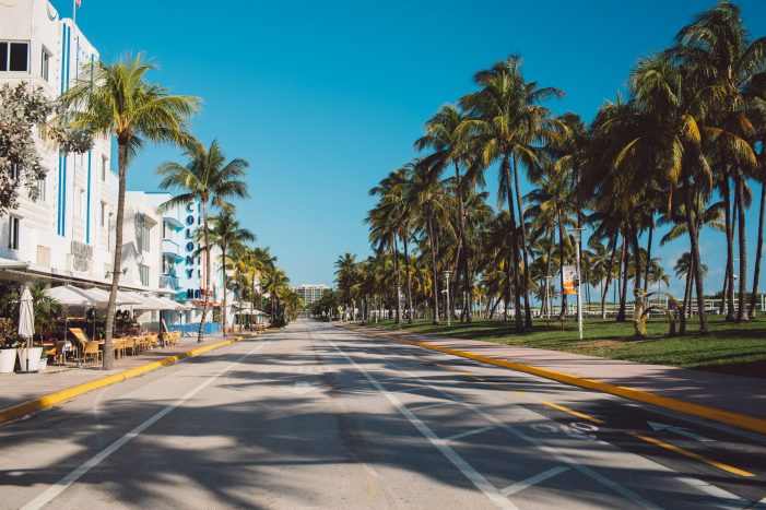 Cultural and Architectural Miami Adventure (ending at Miami International Airport MIA)